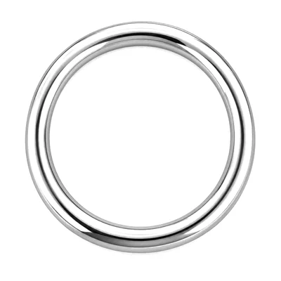 2" Stainless Steel Welded Ring