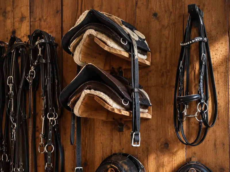 Bridles, saddle pads and harness collars hanging in a tack room